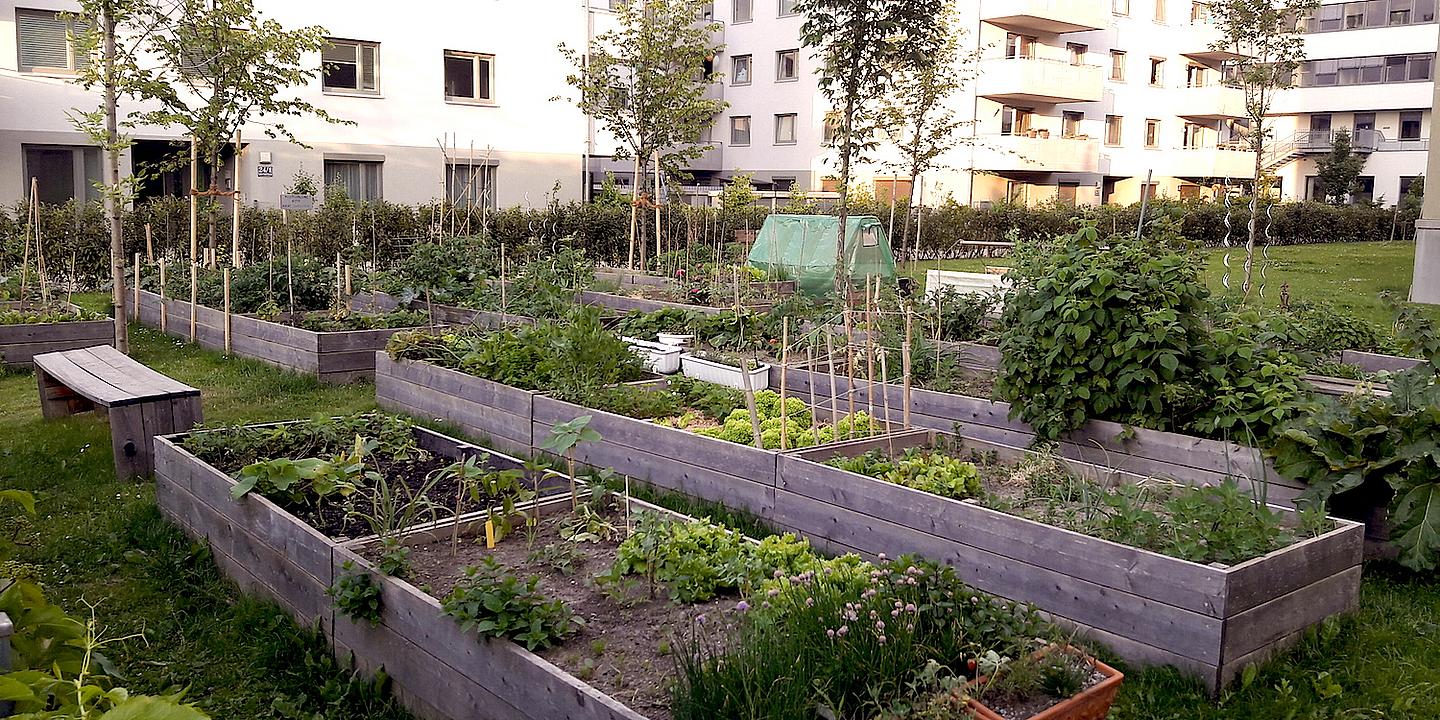 Hochbeete im städtischen Wohnraum