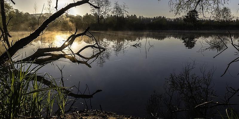 Sonnenstrahlen, Teich in der Natur, leichter Nebel über dem Wasser, Teich umgeben von Bäumen und Sträuchern, Wasserspiegelung