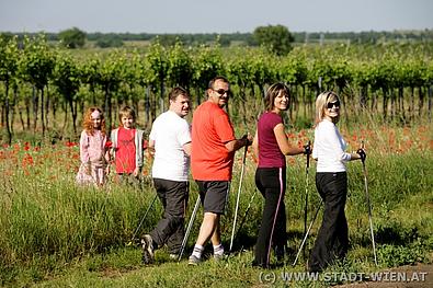 Eine Gruppe Nordic Walker