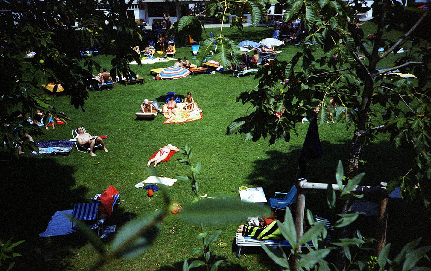 Strandbad Alte Donau: Grünstreifen mit Sonnenbadenden. 