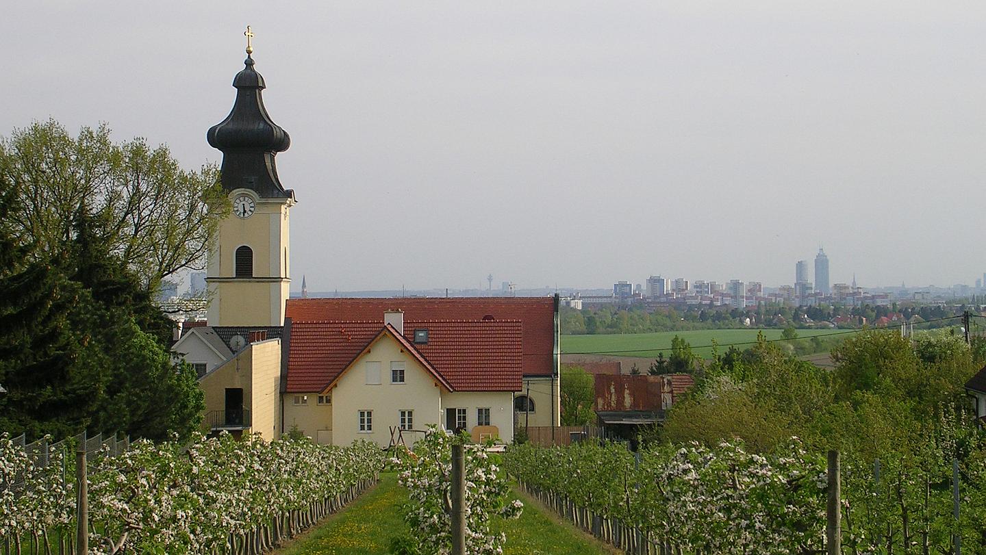 Bild von Kirche zum Heiligen Nikolaus in Floridsdorf - im Vordergrund: Obstgärten.