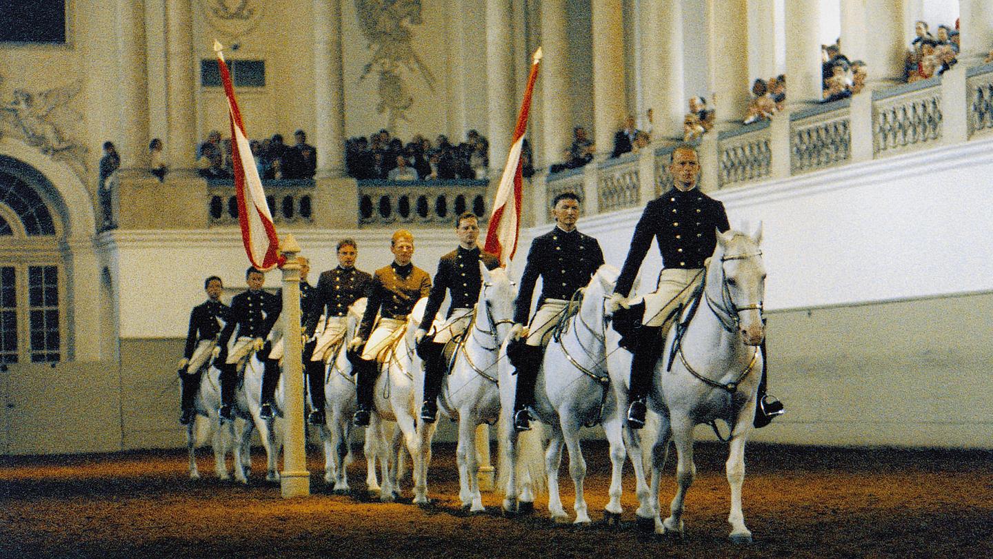 Acht Lipizzaner und ihre Bereiter in Wien bei einer Vorführung vor Publikum.