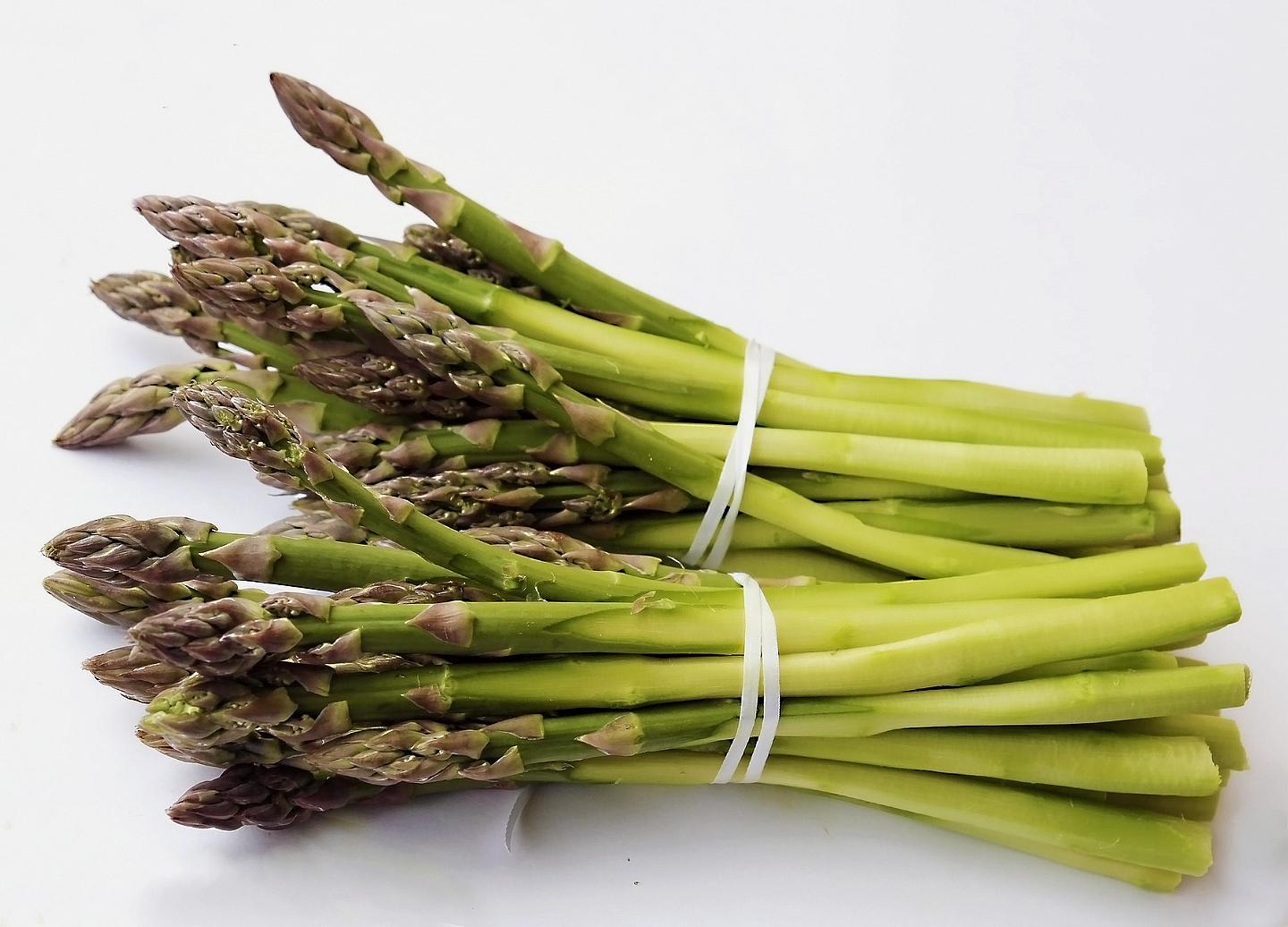 Grüner Spargel im Bund vor weißem Hintergrund