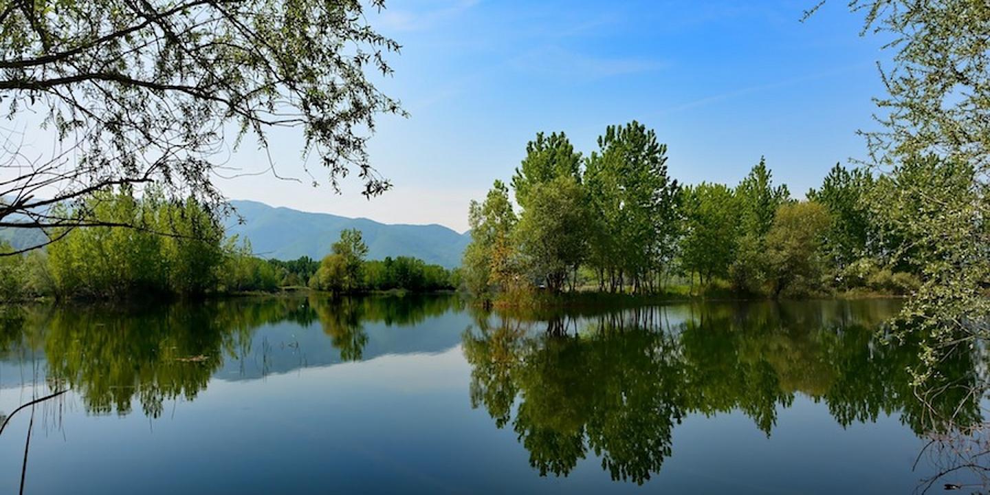 Schönes Wetter und blauer Himmel, Badeteich in der Natur umgeben von Bäumen und Büschen, Wasserspiegelung