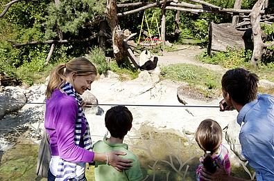 Familie im Tiergarten während einer Führung