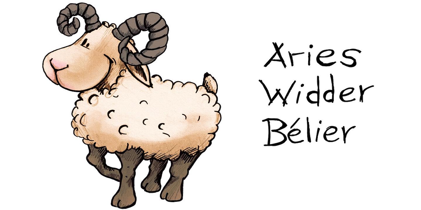 Widder gezeichnet mit Schrift Aries, Widder, Bélier