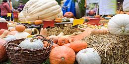 Kürbisse liegen auf einem Strohballen während eines Herbstfests