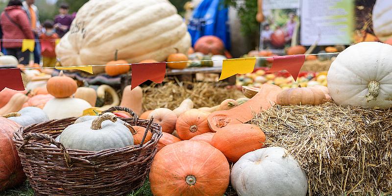 Kürbisse liegen auf einem Strohballen während eines Herbstfests