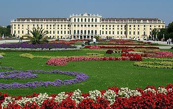 Bild von Schloss Schönbrunn - im Vordergrund der Garten mit roten, weißen, violetten, gelben und pinken Blumen.