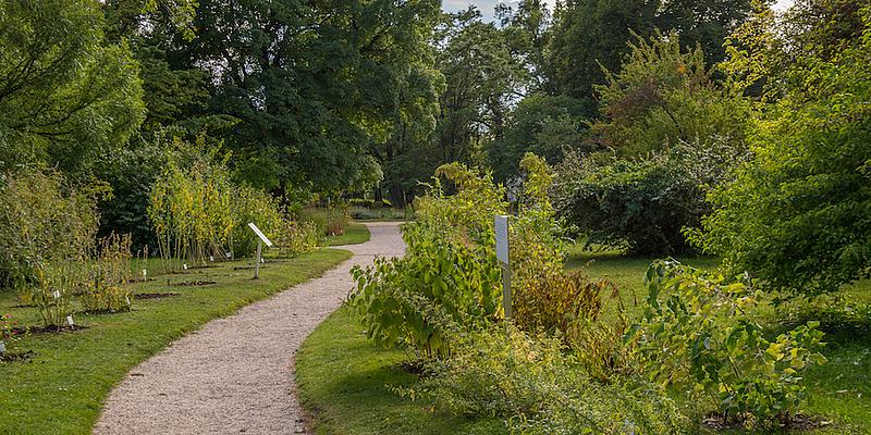 Botanischer Garten, Garten, Park, Weg, Wiese, Pflanzen