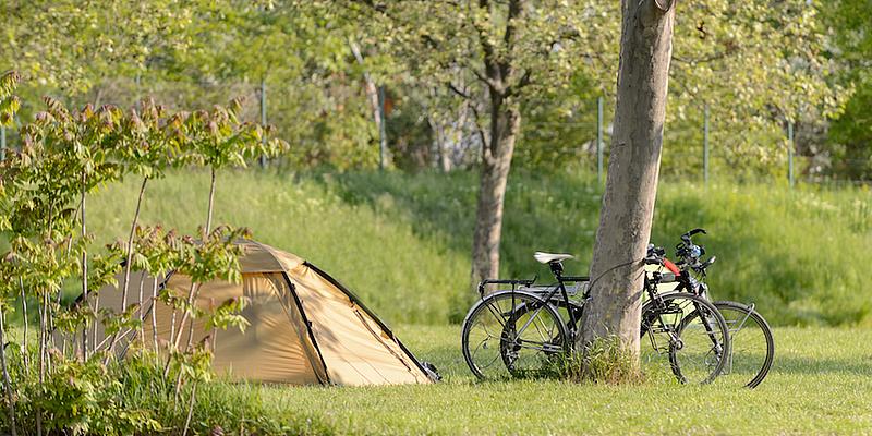 Zelt, Fahrrad, Wiese, Baum, Natur