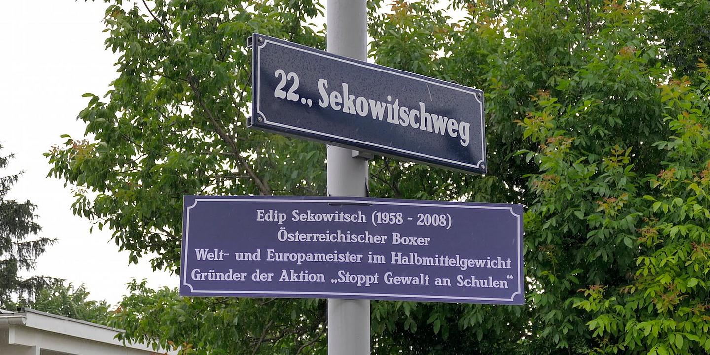 Sekowitschweg wien Straßenschild