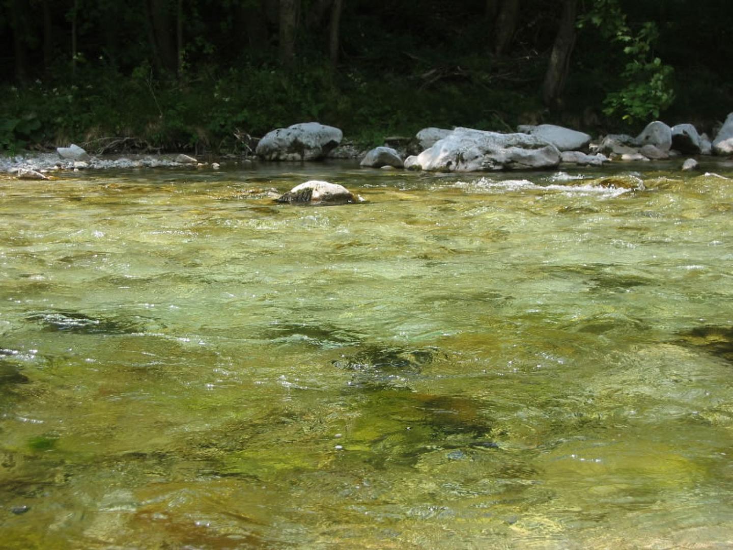 Ein Fluss aus der Nähe betrachtet