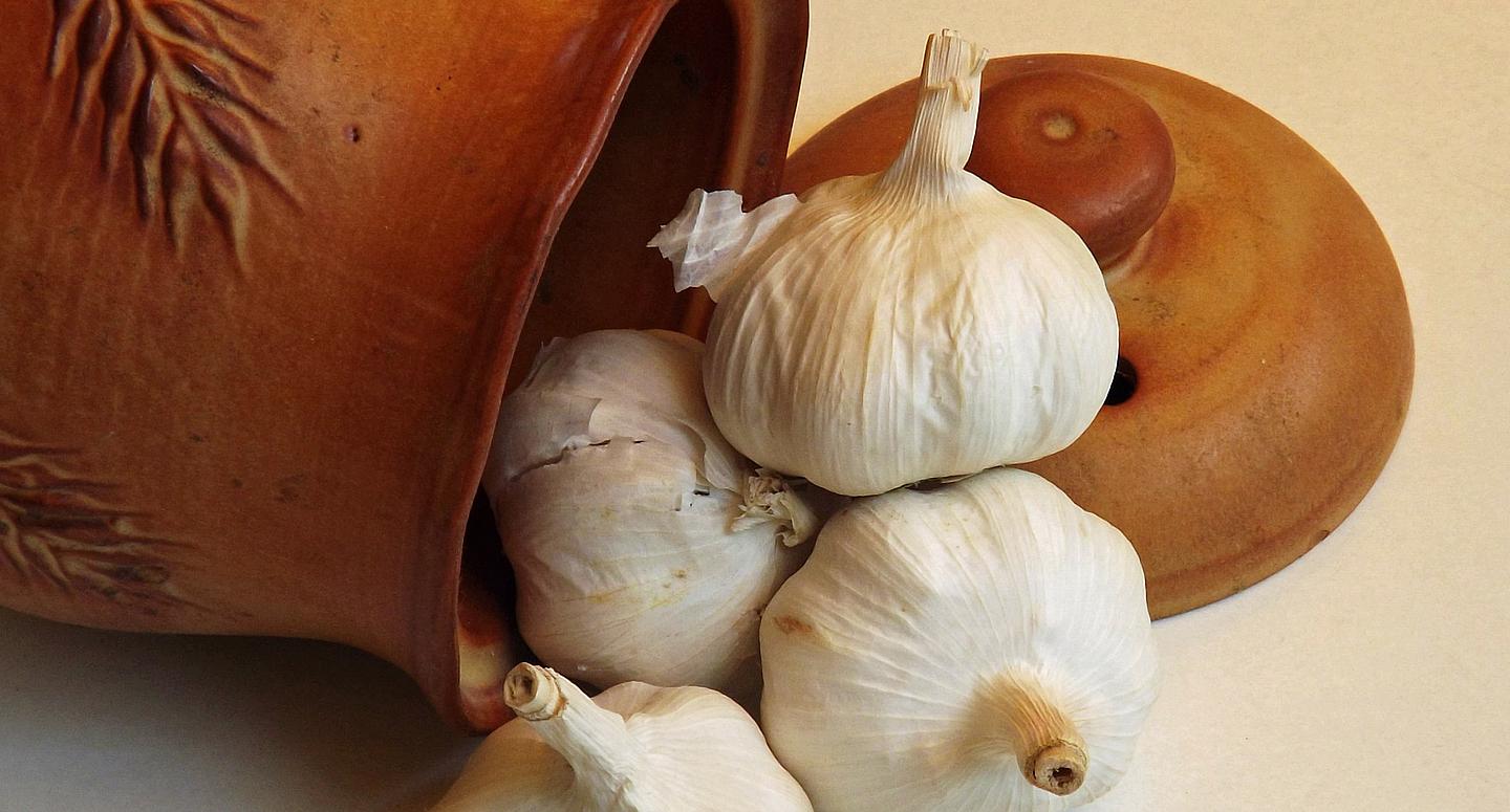 Knoblauch, der vor einem umgestürzten Keramiktopf liegt 