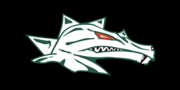 Das Logo der Danube Dragons