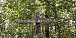 Schild Stadtwanderweg 6