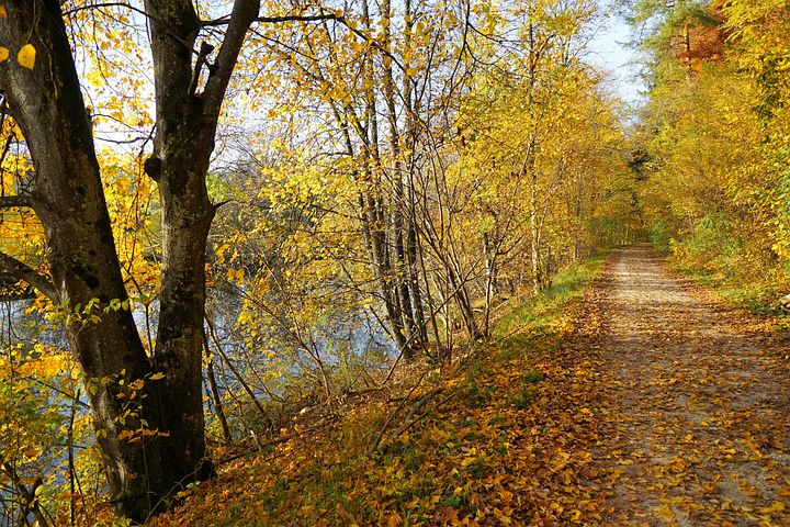 herbstlicher Stadtwanderweg in Wien