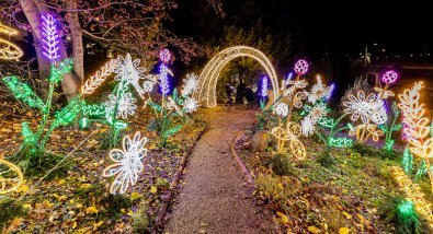 Lichtinstallation in Form eines Blumengartens