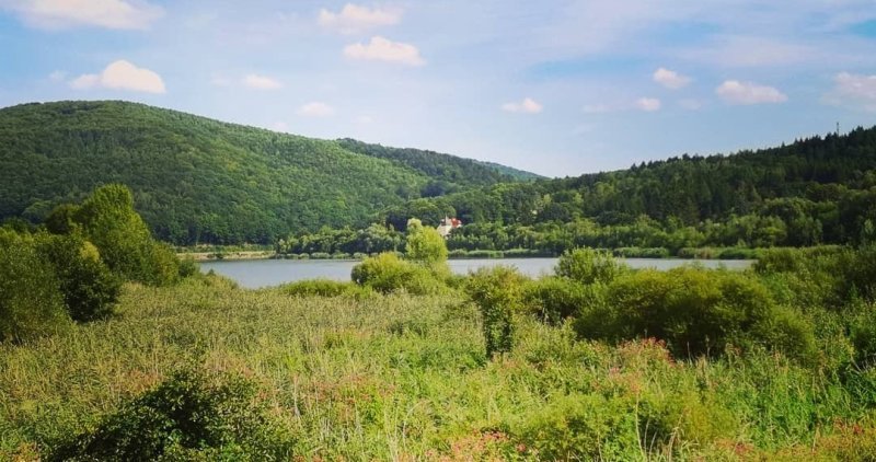 Wienerwaldsee umgeben von Wald im Sommer