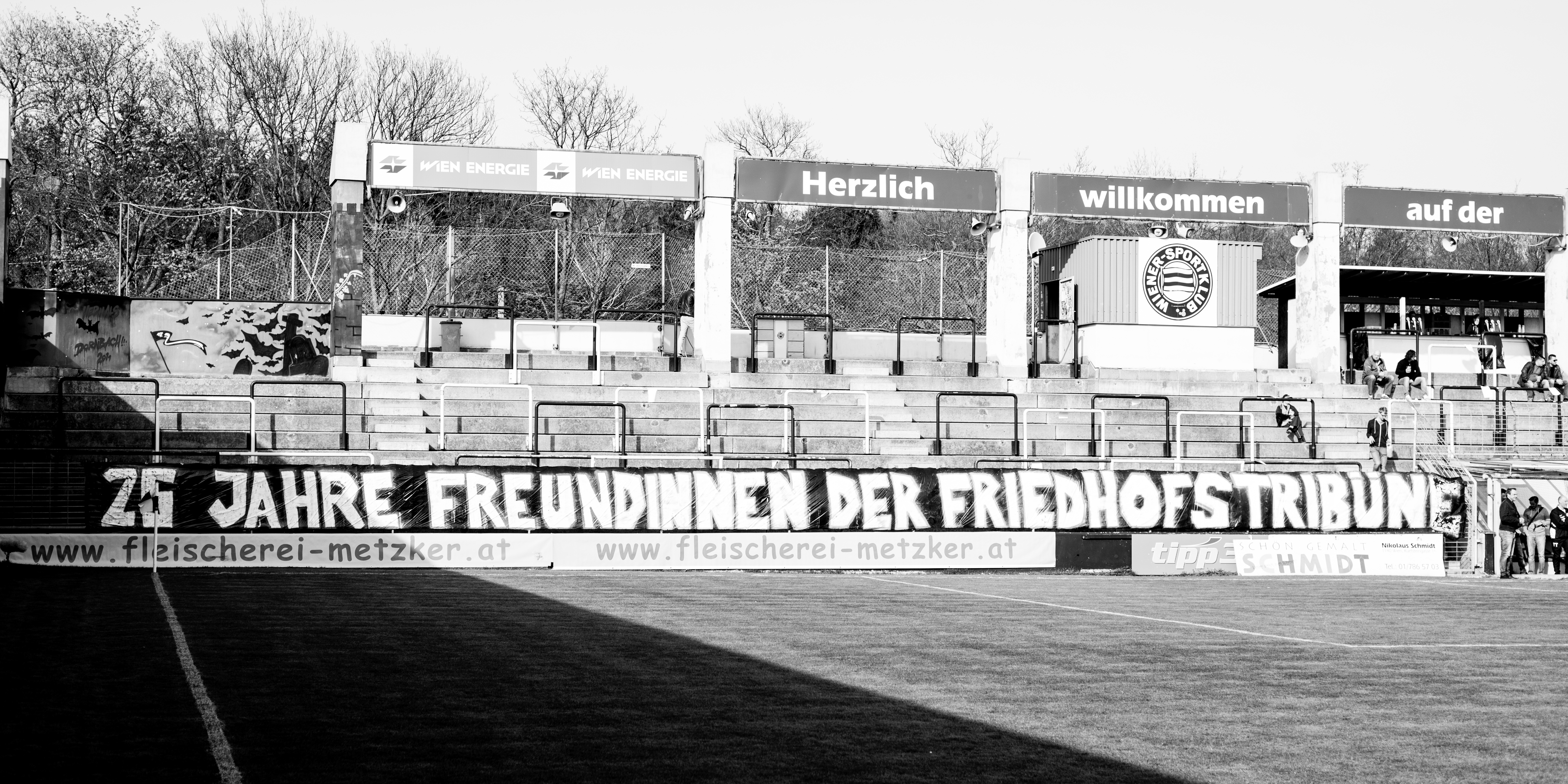 Die Friedhofstribüne am Wiener Sport-Club-Platz