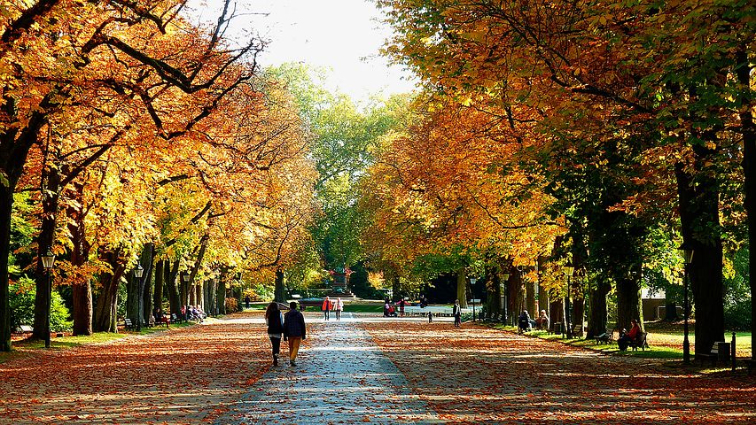 herbstlicher Spaziergang