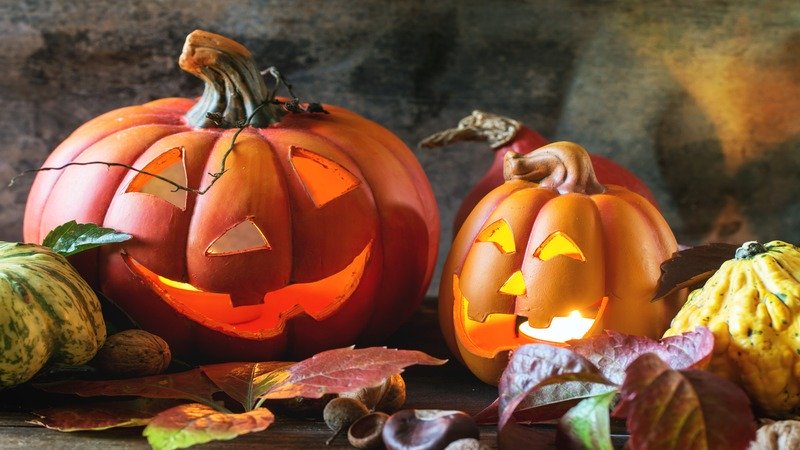 Kürbisse mit Halloween-Schnitzerei.