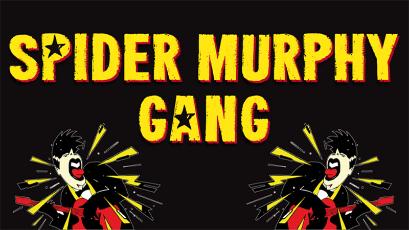 Banner der Spider Murphy Gang