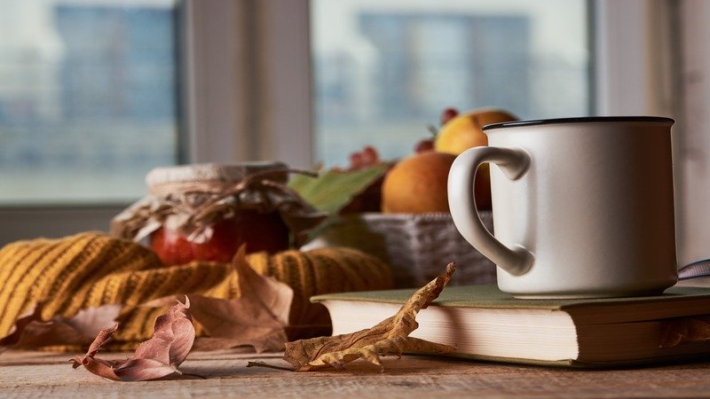 Vor dem Fenster steht eine Teetasse auf einem Buch neben herbstlicher Dekoration.